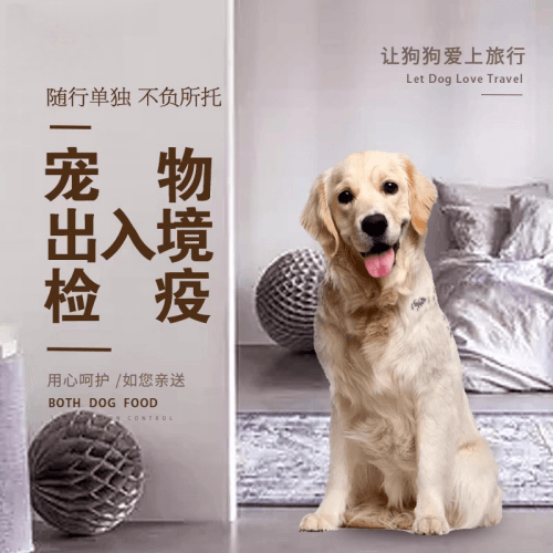 嘉兴宠物托运到哥伦比亚猫狗宠物入境规定和