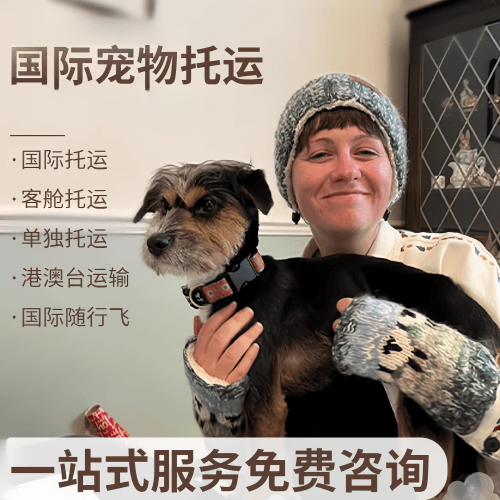 嘉兴国际宠物托运到阿根廷宠物入境规定和要