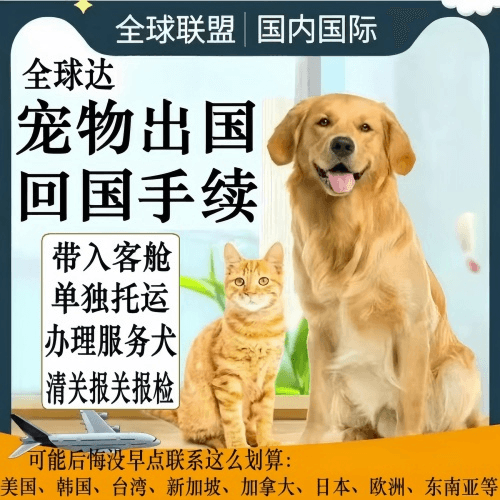 嘉兴宠物托运到柬埔寨宠物入境规定和要求