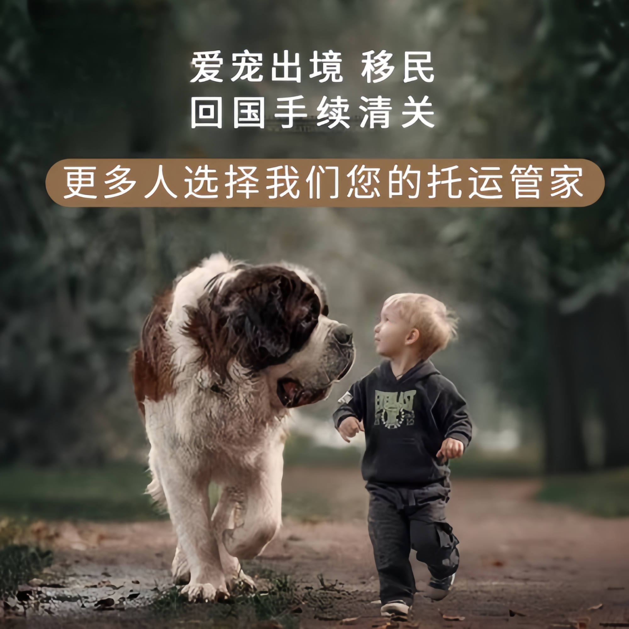 满财嘉兴宠物全球达宠物托运在遵守入境目的地政策的条件