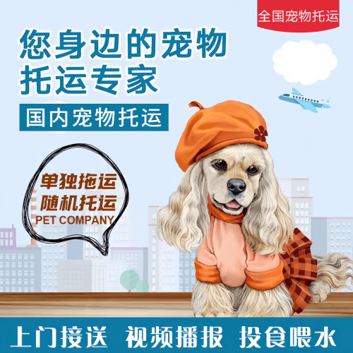 满财嘉兴宠物全球达宠物托运作为专业的宠物运输代理机构